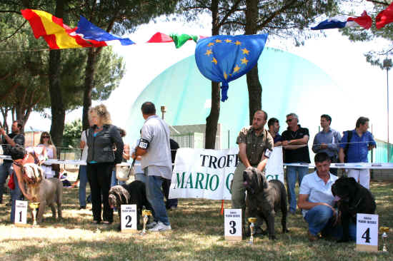 Trofeo Mario Querci 2011