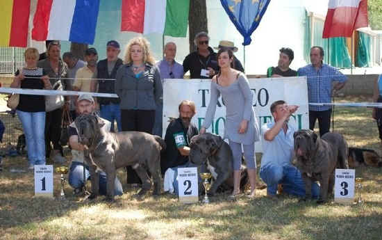 Trofeo Mario Querci 2011