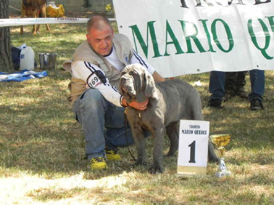 Trofeo Mario Querci 2011