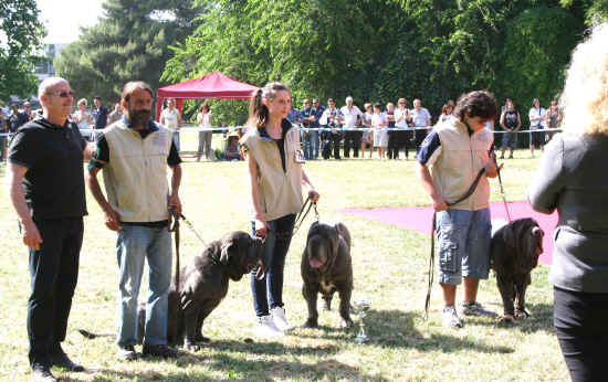 Trofeo Mario Querci 2011