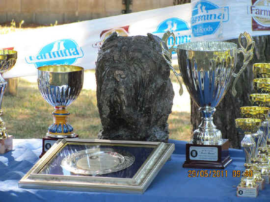 Trofeo Mario Querci 2011