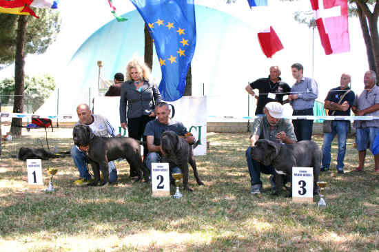 Trofeo Mario Querci 2011