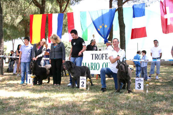 Trofeo Mario Querci 2011