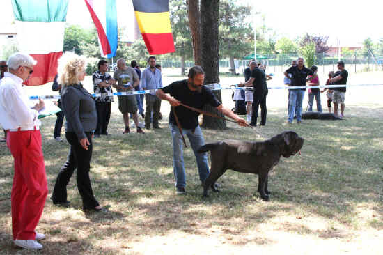 Trofeo Mario Querci 2011