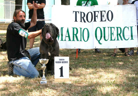 Trofeo Mario Querci 2011