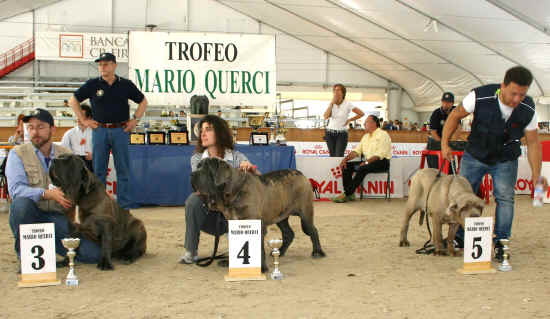 Trofeo Mario Querci 2012