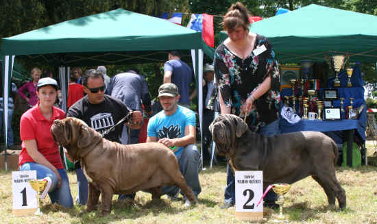 XX Trofeo Mario Querci