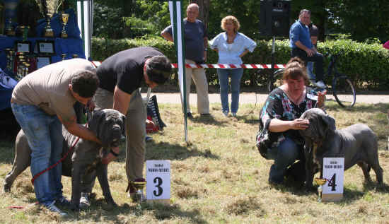 XX Trofeo Mario Querci