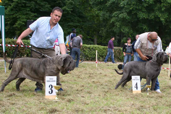 XX Trofeo Mario Querci