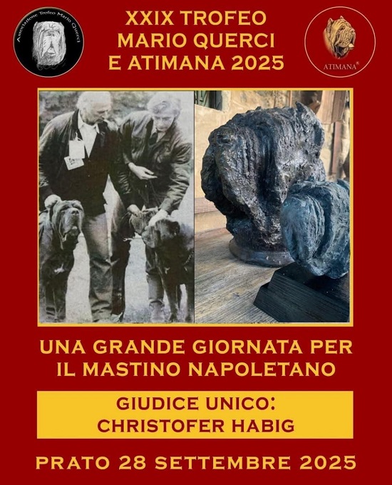Associazione Trofeo Mario Querci