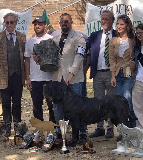 Capitano di Casa D'Inverno